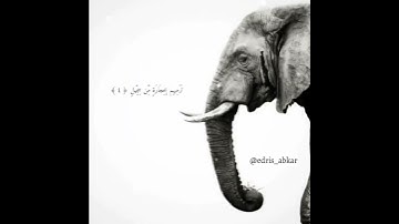 سورة الفيل #ادريس_ابكر