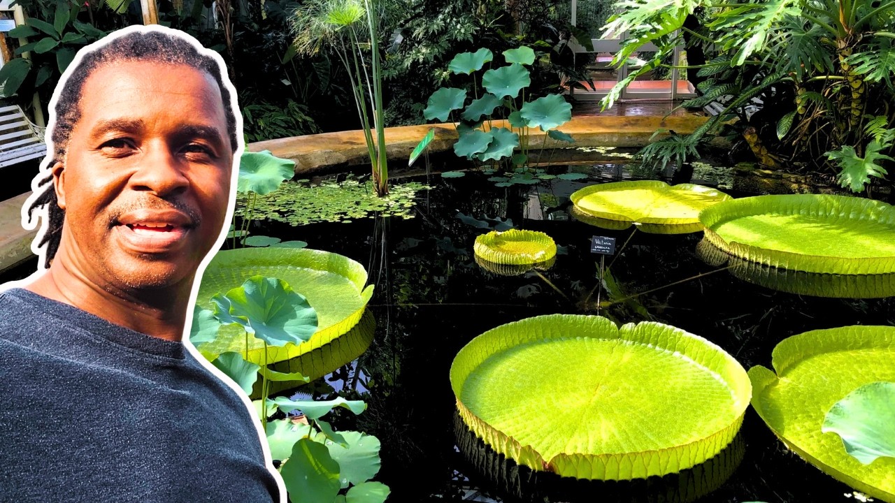 Spring at Birmingham Botanic Garden | Tropical Plants, Blossoms & Hidden Garden Paths