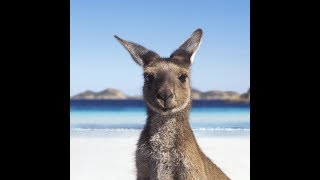 AUSTRALIA HOLIDAY 2017 GOPRO