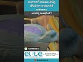 మెడ నొప్పి మరియు నడుము నొప్పి కారణాలు - డా. ప్రకాష్ గుడిపూడి వివరణ | Elite spine&amp;pain management