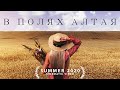 В ПОЛЯХ АЛТАЯ | АЛТАЙ 2020 | CINEMATIC VIDEO 21:9