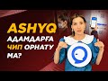 Ashyq приложениесы жайлы барлық шындық! Вакцина салдырмай қолдану. | Ashiq приложение.