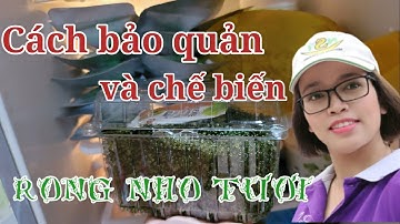 Cách bảo quản và chế biến rong nho tươi cực kỳ đơn giản