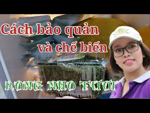 Video Cách bảo quản và chế biến rong nho tươi cực kỳ đơn giản - youtube