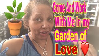 Working in my "Garden of Love"