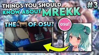 Things You Should Know About Mrekk | osu!