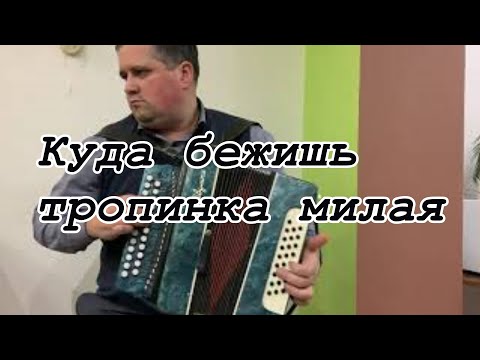 Куда бежишь тропинка