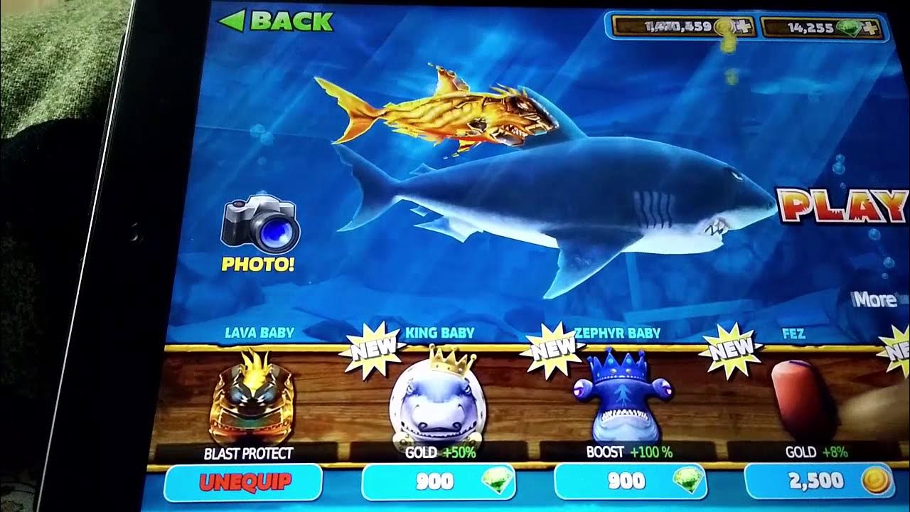 Хангри шарк акула большой папочка. Хангри шарк эволюция акул. Hungry shark world булл акула. Моды на hungry shark evolution. Игра про акул собирает жемчуг и золото.