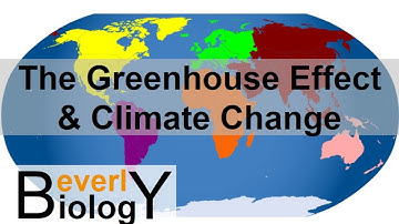 The Greenhouse Effect & Global Warming