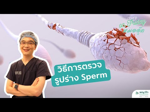 IVF on Friday : วิธีการตรวจรูปร่าง Sperm : โรงพยาบาลพญาไทศรีราชา