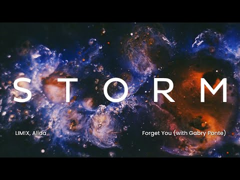 LUM!X, Alida - Forget You (with Gabry Ponte) (Official Audio) | Everlasting Grooves | Storm Music