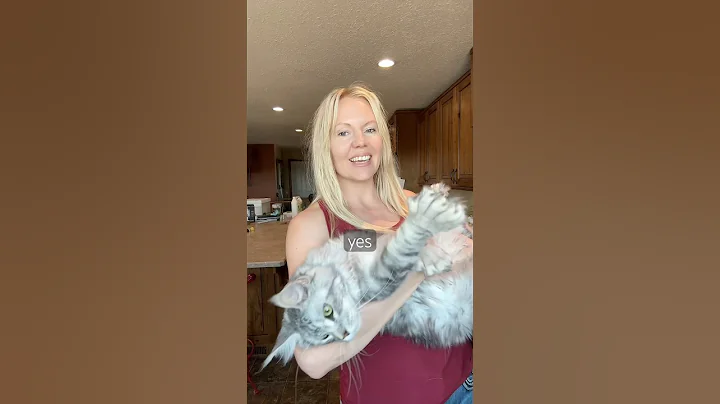 Watch the video about Do Maine Coons make good family pets?