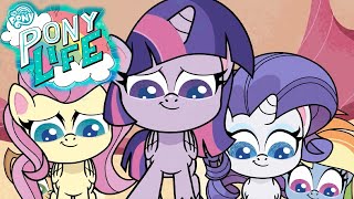 My Little Pony em português NOVA SÉRIE: PONY LIFE 🦄 A Rainha dos Manuais | Episódio Completo