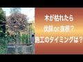 木が枯れたら、まずは見てほしい動画(字幕対応)