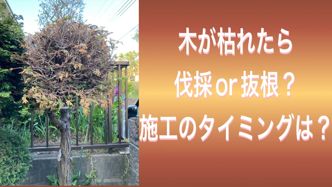 木が枯れたら、まずは見てほしい動画（字幕対応）