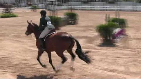 Video of ALL IN ridden by EVA PASSARELLI from Show...