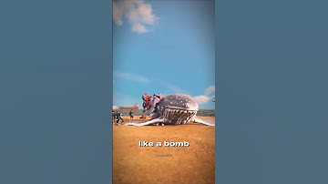 Why Dead Whales Explode! 😨