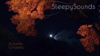 Autumn Crickets - 9-Hour Sleep Sound - Fall Cricket Song(The gentle, lulling sound of crickets on an autumn night, recorded in the Blue Ridge Mountains up the hill from a gentle stream. Nine Hours of high quality stereo ..., 2016-10-25T16:01:42.000Z)