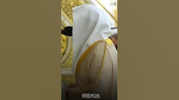 ترتيل بديع من الشيخ #عبدالله_القرافي من #الحرم المدني | #اكسبلور #كتب #تلاوات #دويتو #لايك #القرآن