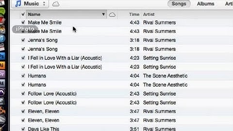 Duplicate iTunes Entries : iTunes Basics