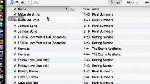 Duplicate iTunes Entries : iTunes Basics