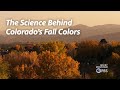 Why Colorado has had such a beautiful Autumn