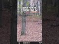 Let us know if you would like to see more videos in a long form video. #hunting #spypoint