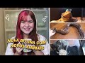 MEU DIA CUIDANDO DE +30 ANIMAIS I Rotina Diária!