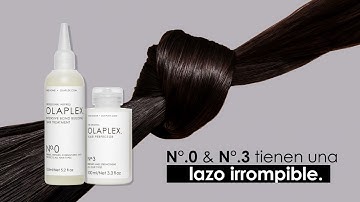 En Español: OLAPLEX N°.0 Intensive Bond Building Treatment & N°.3 Hair Perfector: ¡EXPLICADO!