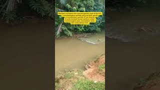 Ya Allah cabutlah kesulitan orang yang mendengarkan Ayat suci ini sampai 7x Aamiin