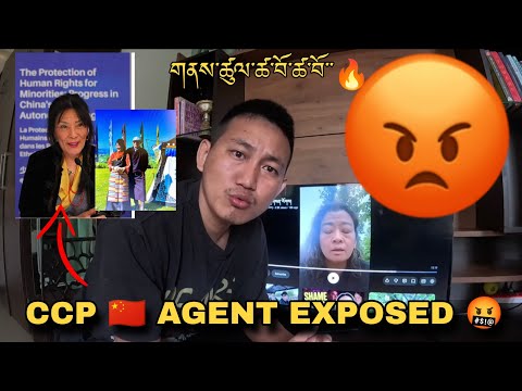 LATEST VIRAL SWISS CASE 🚨⚠️ བོད་མི་ཚོ་ངེས་བར་དུ་གསན་རོག།