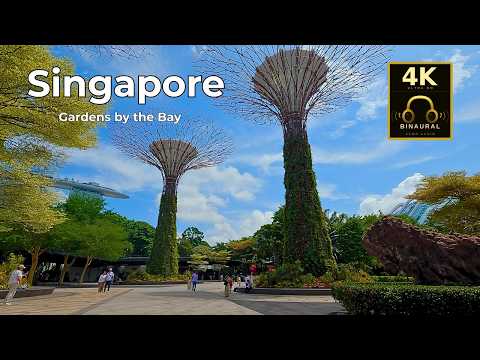 Singapore's Futuristic Supertree Grove | Gardens by the Bay 4K Binaural ASMR Walk