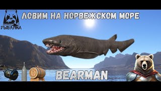 Русская рыбалка 4. Вечерний стрим! Розыгрыш! Общения с чатом.