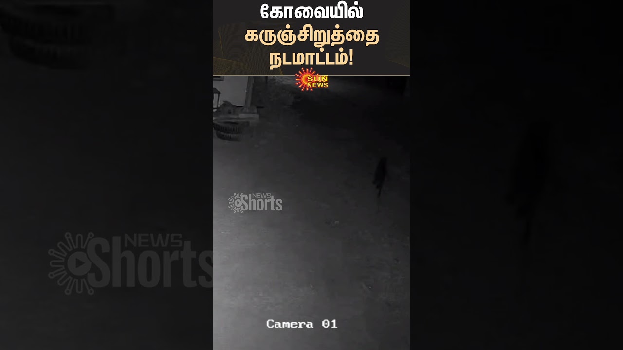 Black Leopard spotted in Coimbatore's residential area | CCTV | Kovai | Sun News