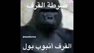 Kellene Selme Kellene Hemed