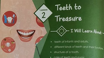ICSE/SCIENCE/GRADE 4/CHAPTER 2/TEETH  TO TREASURE/PART 01