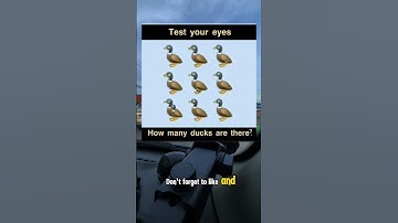 How many ducks are there #shorts #quiz #gameplay #games #shortsfeed #viralshorts #puzzle