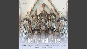 Presentation of selected voices. Koppelflöte 8