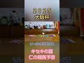 大阪杯2025　キセキの猫仁の競馬予想 #猫のいる暮らし