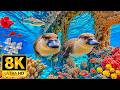 Unseen Blue Ocean Creatures in 8K HDR | Dolby Vision™