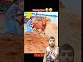 Funny Cow 😂 Guru Tiktok Video 769 #shortsviral #funnyvideo #animals