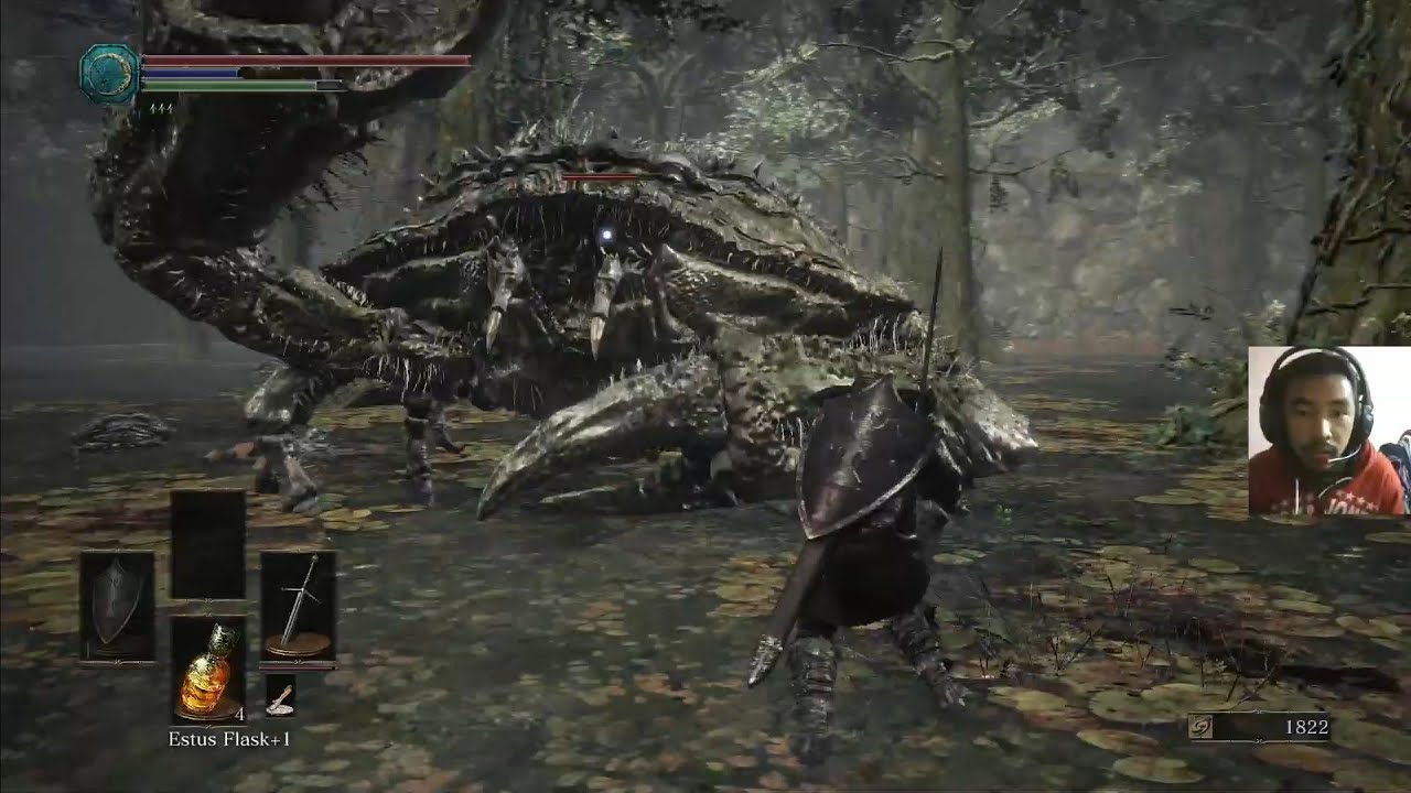 Playing Dark souls III for the first time. My Second souls game