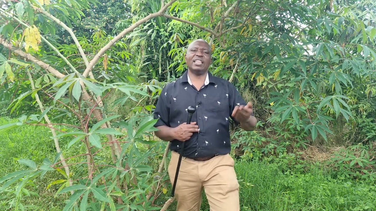 Gwathiĩ atĩa mũthuri wa kĩama akorwo arĩ kĩhĩĩ?.