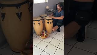 Percussionist William Ruiz - LP Aspire Congas- Tampa - Florida