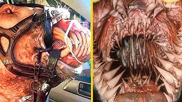 Top 10 Disturbing Anomalies in Science That Shouldn’t Exist