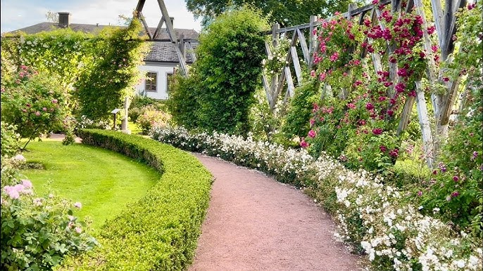 Rosenlunds Rosarium