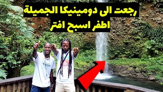 تعرف على دومينيكا من خلال كامرتي - يوم كامل من الكروز ✈️ Full Day Cruise Tour of Dominica ?? ??️⛰️