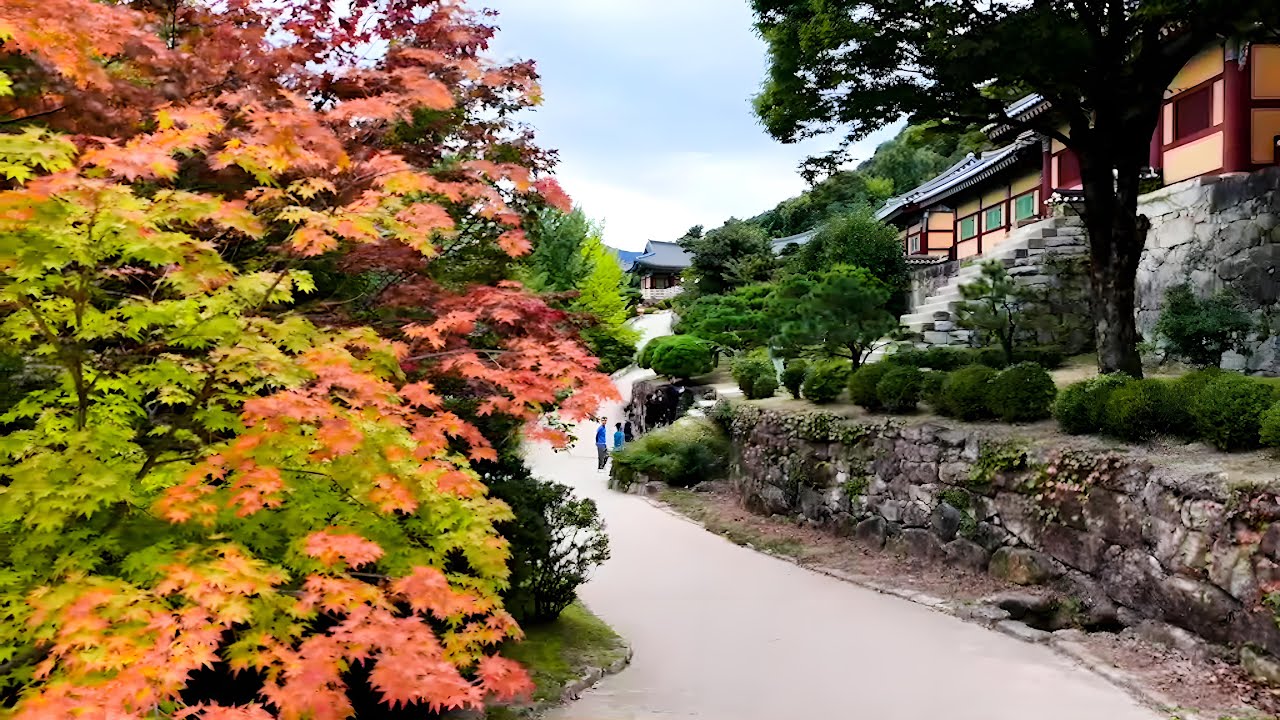 영주 부석사 浮石寺 | Buseoksa Temple, Yeongju | Landscape of korea | 드론촬영(Drone shot 4k) Welcome-fly
