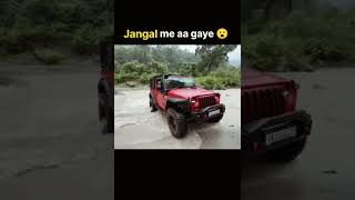 jangal me fass gaye 😮