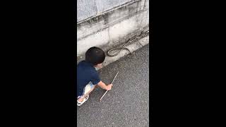 蛇に愛された瞬間